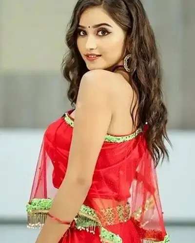 Call Girls Service Hagaribommanahalli